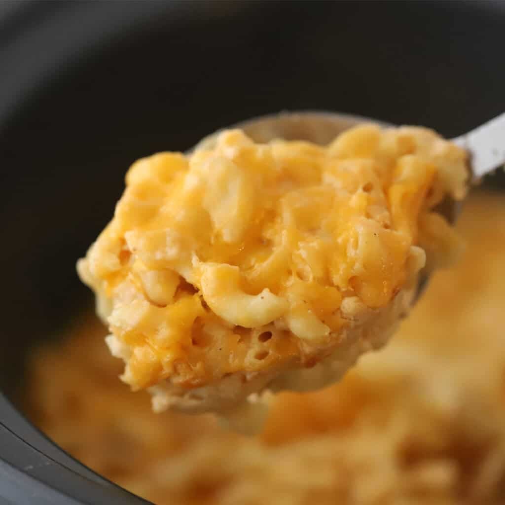 A spoon full of slow cooker mac and cheese.