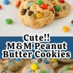 how to make peanut butter M & Ms cookies